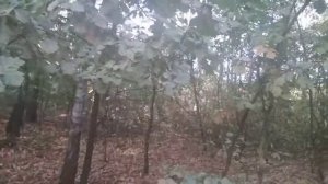 14 сентября Когда вода всемирного потопа Высоцкий