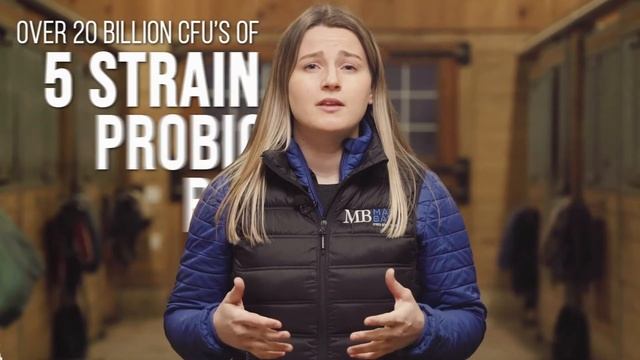 Visceral Supplement for Equine Gastric Ulcers смотреть онлайн