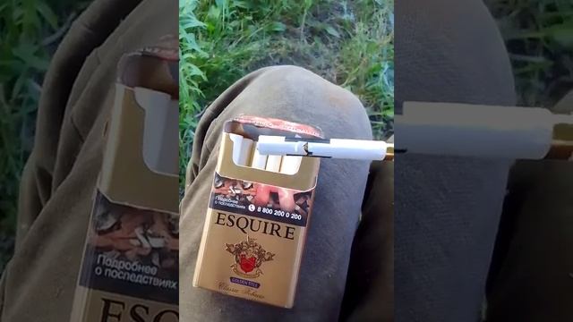 отличный производитель)))сигареты эсквайр смотреть онлайн