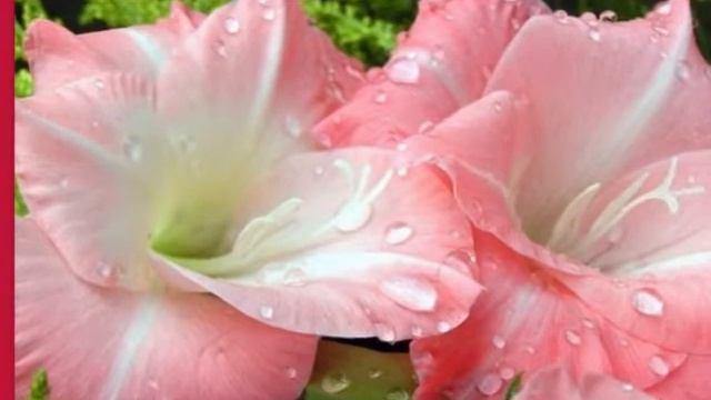 КОГДА В ДУШЕ ТЕПЛОТА смотреть онлайн