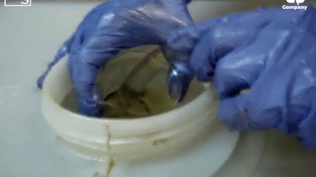 How To Flush A Biodiesel Dry Wash Exchange Resin Tower Using Methanol смотреть онлайн