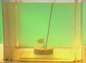 Физика. Опыты. Механика сплошных сред. Закон Архимеда. Присасывание тела ко дну сосуда