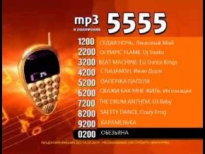 Реклама на BRIDGE TV 2012 (21/70)