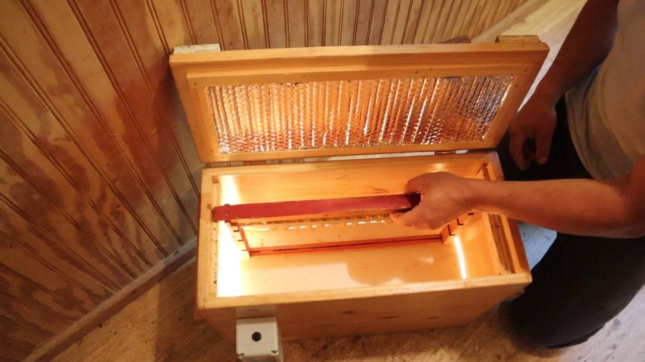 Placing Queen cells into our incubator to speed things up! смотреть онлайн