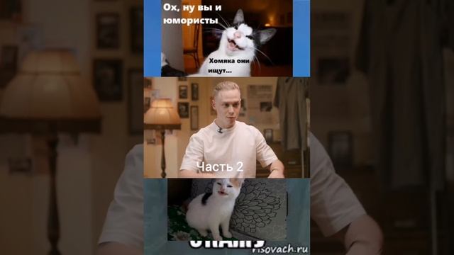 анекдот от Яна на передачи попробуй не засмеялся 1 Часть на канале #мем885 #ян #бустер #парадевич смотреть онлайн