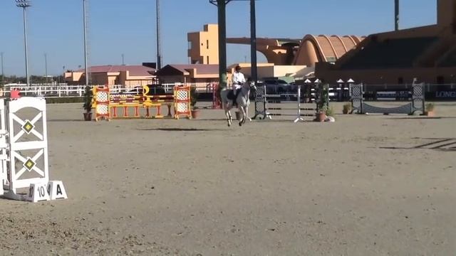 HBR Lord McLaren (Landgold) Medium Tour Al AIn 7th Place смотреть онлайн