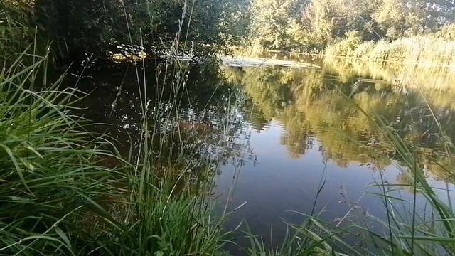 Серебряное Кресло. Клайв Льюис. Глава 15 Кто схватил Джил?! #аудиокниги #слушать #сказки #льюис смотреть онлайн