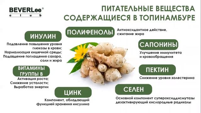 TOP FORCE. Энергия Долголетия. Секрет Японцев. смотреть онлайн