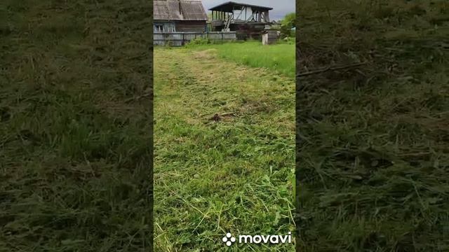Покос травы Комсомольске-на-амуре смотреть онлайн