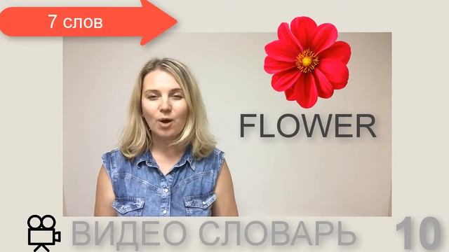 видео словарь английского языка 10 смотреть онлайн