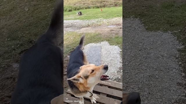 вот что бывает когда ты долго один ) смотреть онлайн