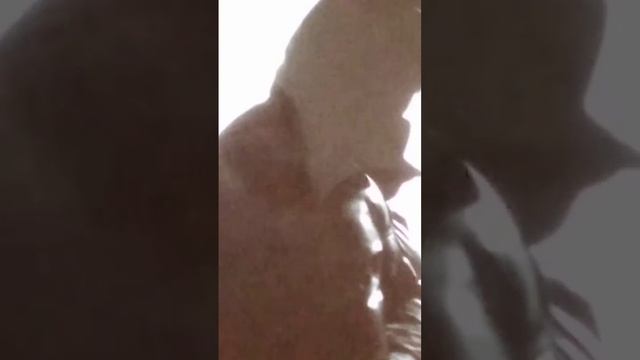 Родимый дом. Стихотворение. Посвящение всем забывшим своих матерей... смотреть онлайн