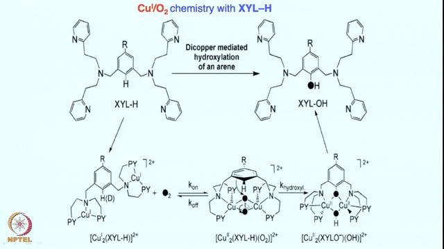 Week 3 - Lecture 13 смотреть онлайн