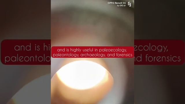 #study of pollen grain under light microscope#shortvideo #viralshort смотреть онлайн