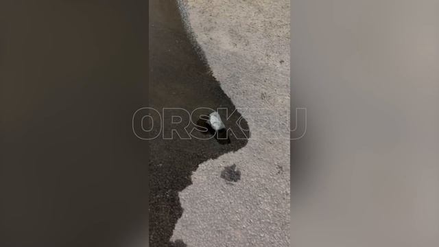 Камень смотреть онлайн