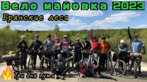 Майовка 2023 / Дремучие леса, пески и болота / Брянские и Калужские леса #велопоход #природа #туризм