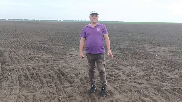 Посев озимой пшеницы в Самарской области ИП Голяков Д.С. смотреть онлайн