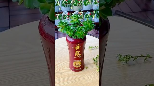 Achieve inner peace and stress relief with these flower gardening tips at home Ep 25 смотреть онлайн