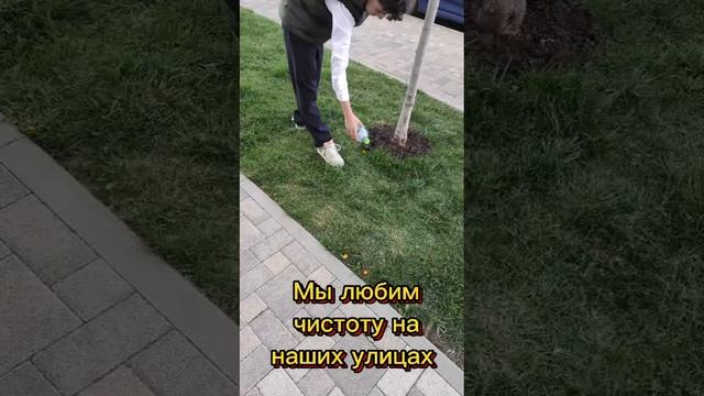 Тимуровцы "5Л МАОУ СОШ 17" смотреть онлайн