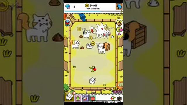 тройная эволюция котиков смотреть онлайн