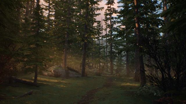 СТИХОТВОРЕНИЕ "НЕ ПОНЯТЬ ГОЛОДНУЮ СОБАКУ..." смотреть онлайн