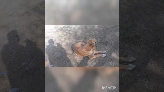45 вид.Цилинник смотреть онлайн