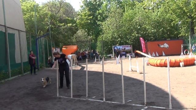 A2 Small-2 Кылыч Алина и вкп Ума смотреть онлайн