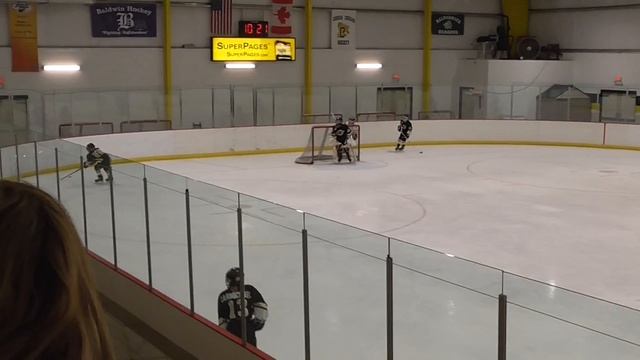 LCL HOUK VS PREDATORS D 12 3 2017 смотреть онлайн