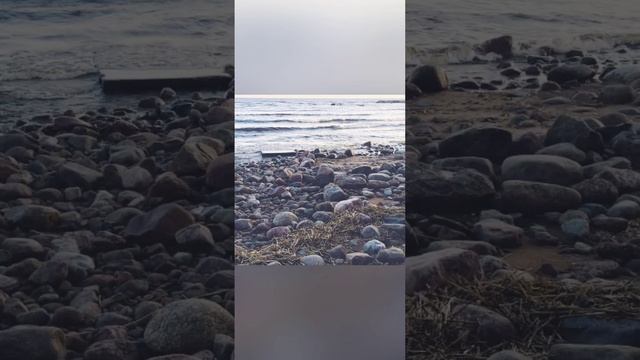 Зеленогорск, прогулка по берегу финского залива смотреть онлайн