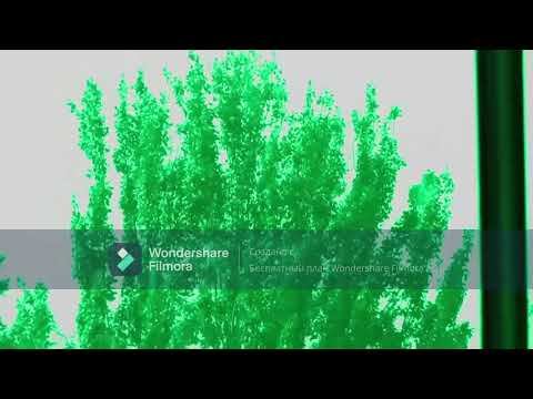 Полный обзор МЦК !