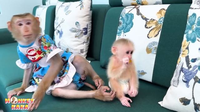 Monkey Kaka was sad when her saw mom taking care of monkey Mit смотреть онлайн