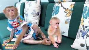 Monkey Kaka was sad when her saw mom taking care of monkey Mit