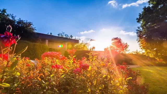 The healing power of plants for Veterans at the Chicago Botanic Garden смотреть онлайн
