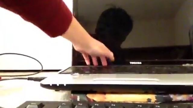 Toshiba virus Help!!!!!! :( смотреть онлайн