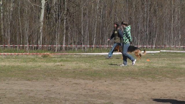 Чемпионат Тверской области (CACT) 2014 г. по ОКД и ЗКС. смотреть онлайн