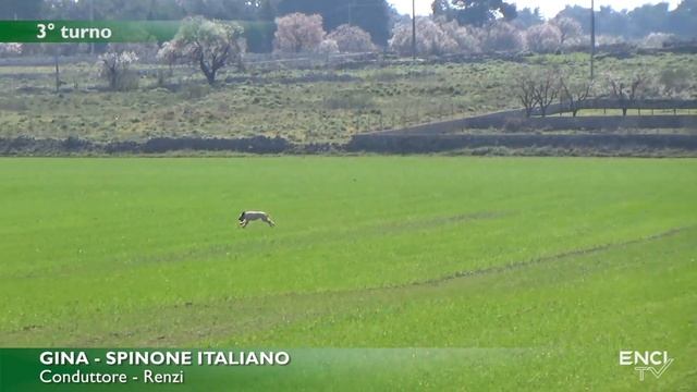 ALTAMURA PRIMAVERA 2022 - DERBY CONTINENTALI - BATTERIA 1 CONTINENTALI ITALIANI смотреть онлайн