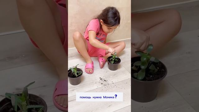 Так просто, но так важно☝️ #устамиребенка #цветы #любовькмиру #любовь#трендытикток #2024#monicaajami смотреть онлайн