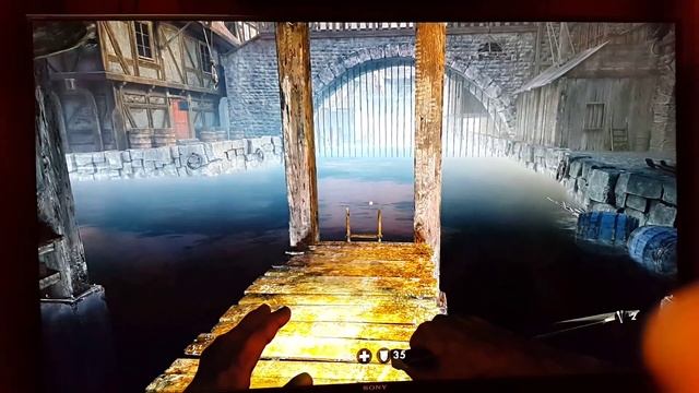 Wolfenstein Old Blood(6)