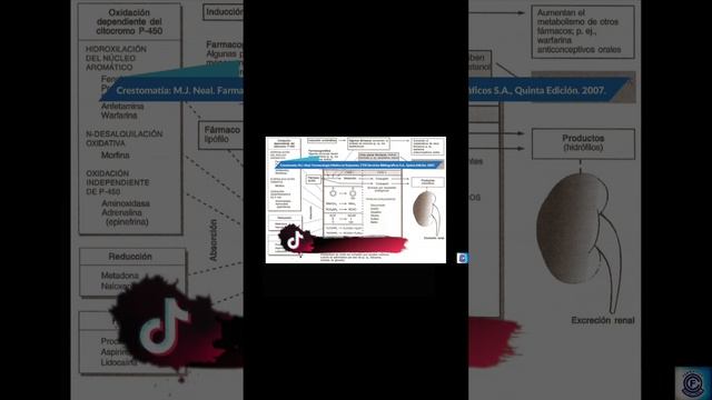 Farmacocinética... ¿Qué es Metabolismo?... parte 5... Corto. смотреть онлайн