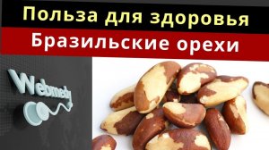 7 главных преимуществ бразильских орехов для здоровья