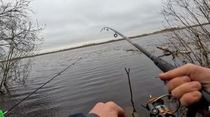 ЭТО ЧТО-ТО! БЕШЕННЫЙ КЛЁВ ЛЕЩА НА ДОНКИ! Ловля леща в Апреле. Весенняя рыбалка 2024