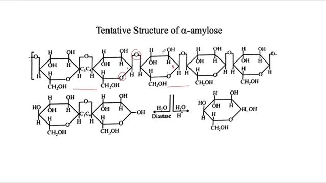 Starch Composition and Chemical structure смотреть онлайн