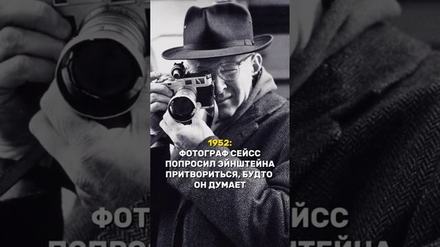 #факты смотреть онлайн