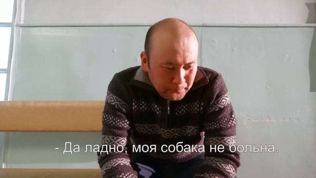 Эхинококкоз (кыргызча) смотреть онлайн