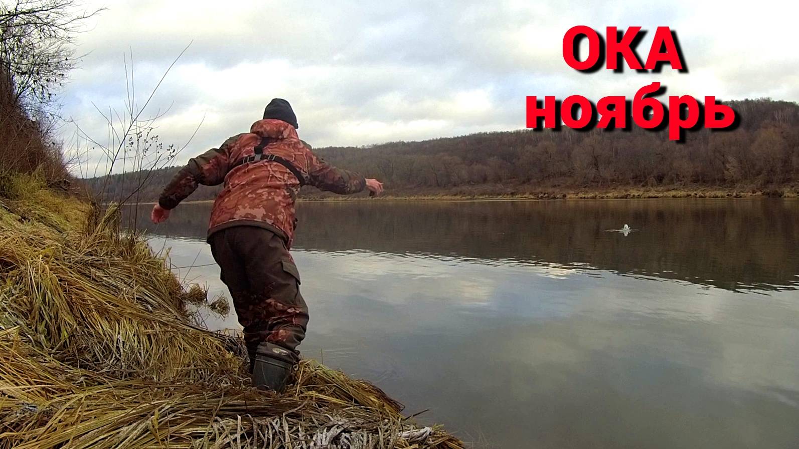 ДОНКИ НА ЖИВЦА И ЧЕРВЯ. МЁРТВЫЕ ЩУЧКИ. Рыбалка в ноябре на Оке. смотреть онлайн