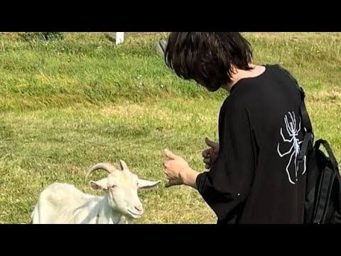 Shadowraze, jzxdx, kusaka6e - skyline ryodan (фул+эдит) смотреть онлайн