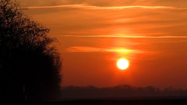 Beautiful Sunset At The Tree Line - 2024/03 (Sunset Hunter)