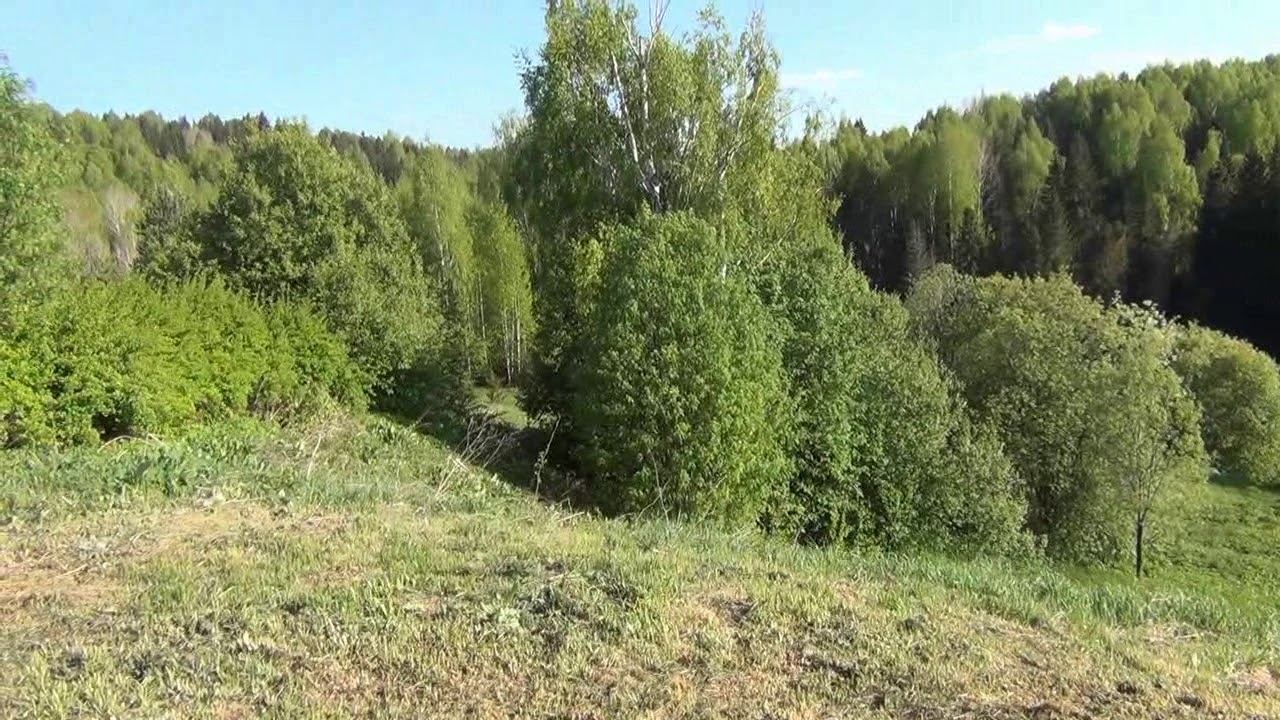 Дела текущие на пасеке... смотреть онлайн