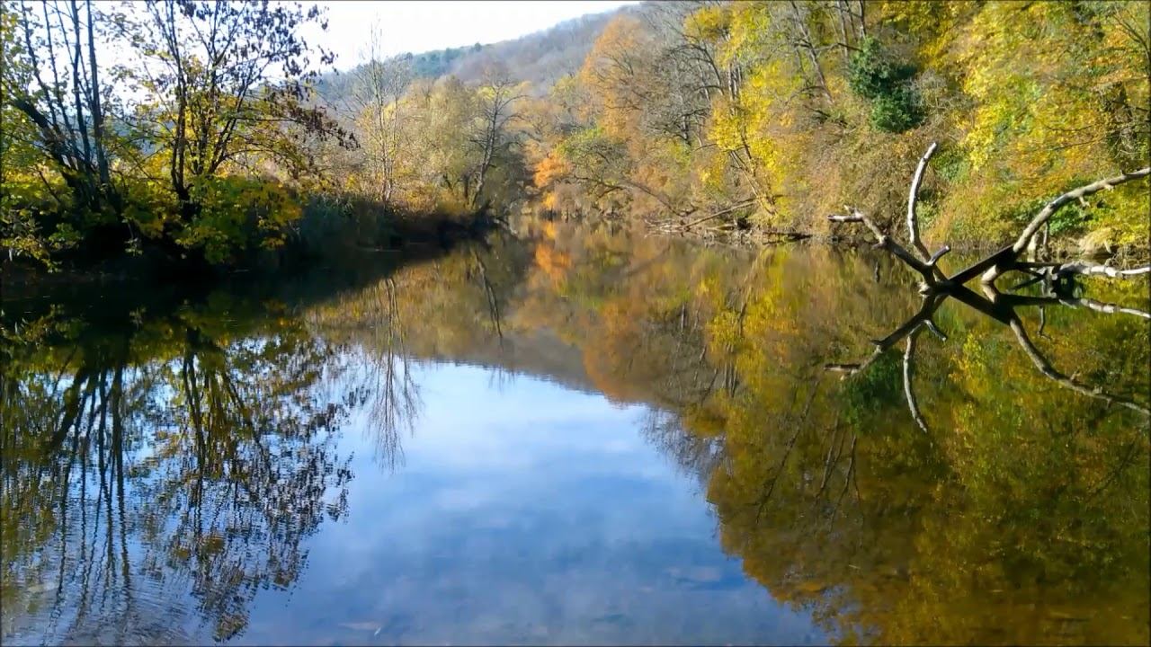 Musik - Video / Bildbearbeitung von Saskia S. / Musik von Asher Fulero смотреть онлайн