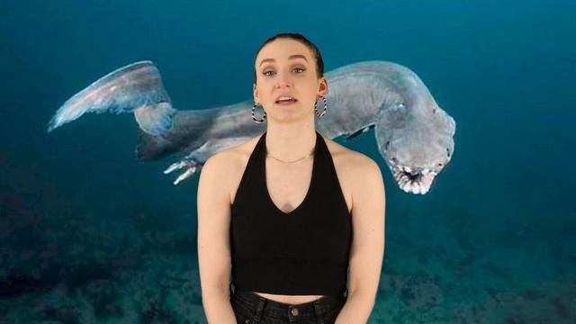 Top 10 Prehistoric Sea Creatures That Still Exist Today смотреть онлайн